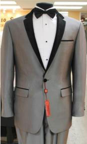   Grey~Gray Tuxedo 2 Button Style